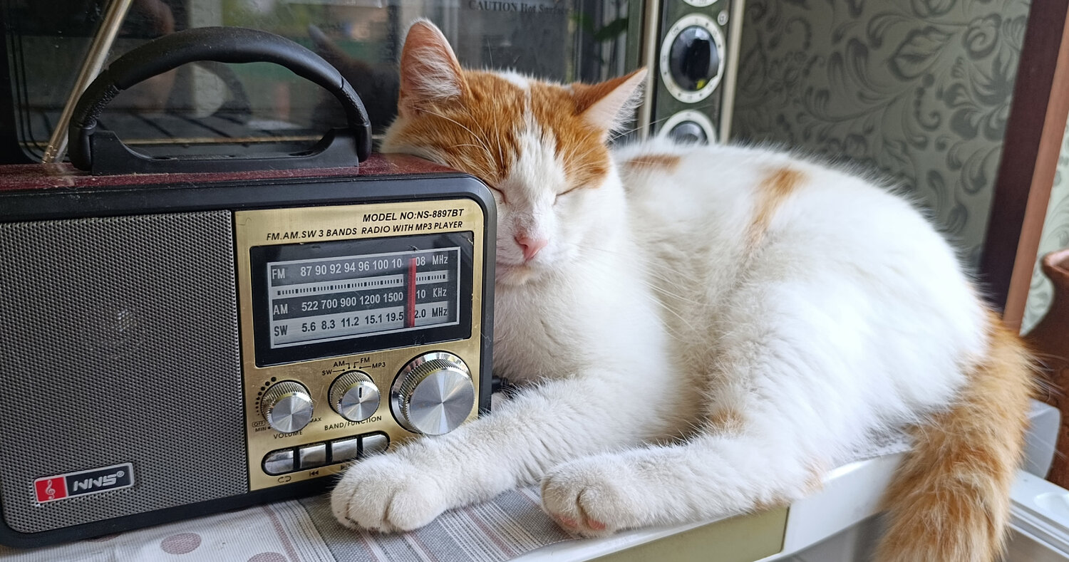 Photo #14031559