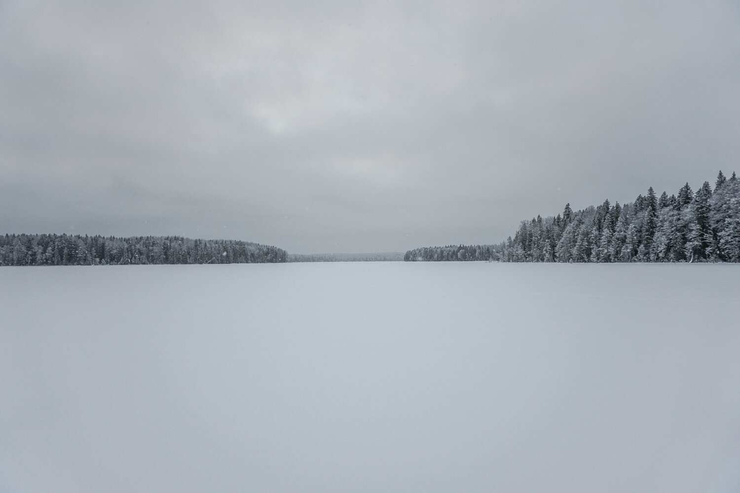 Лесное озеро