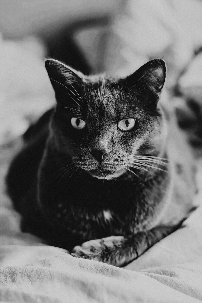 Photograph by Гущин Павел