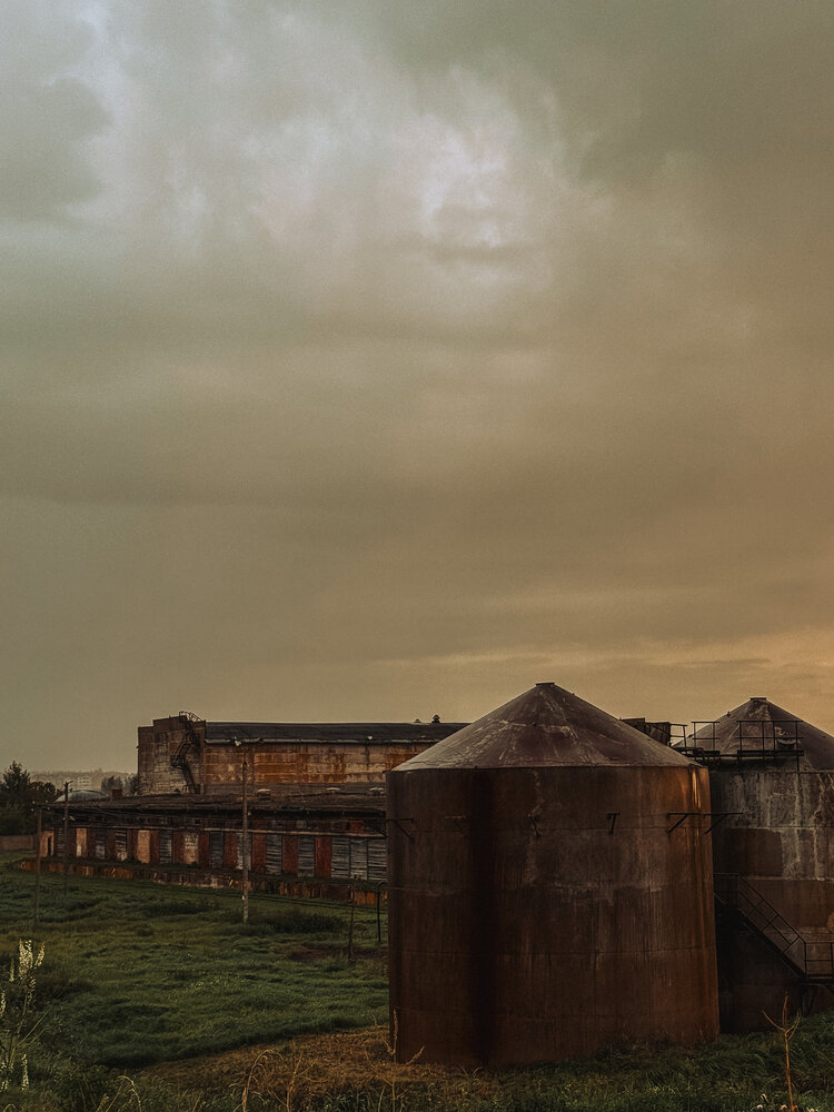 Photograph by Светлана Долганова