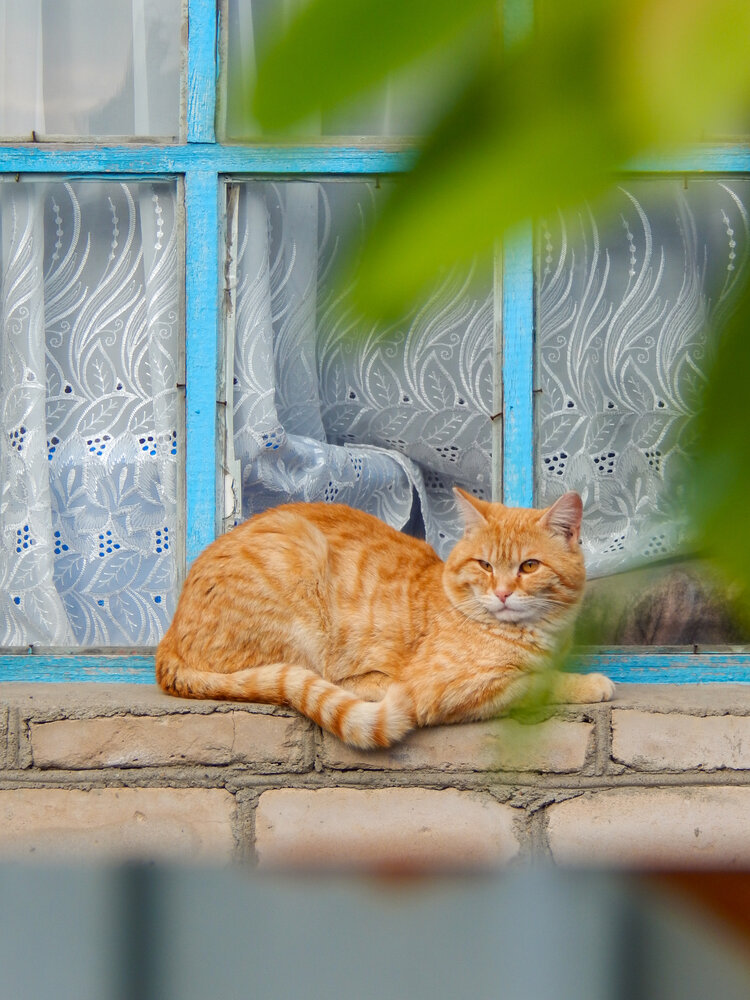 Photo #14031622