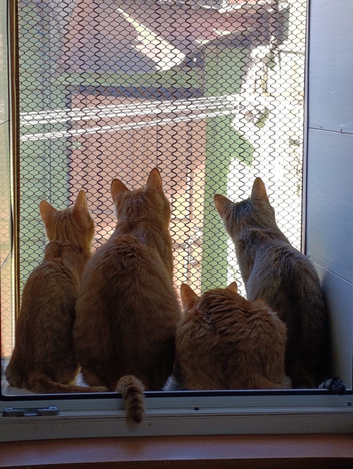 Photo #14031628