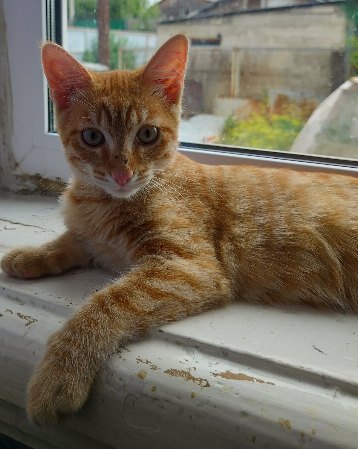 Photo #14031630