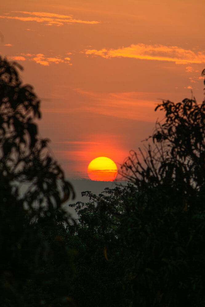 Photograph by Murugan M