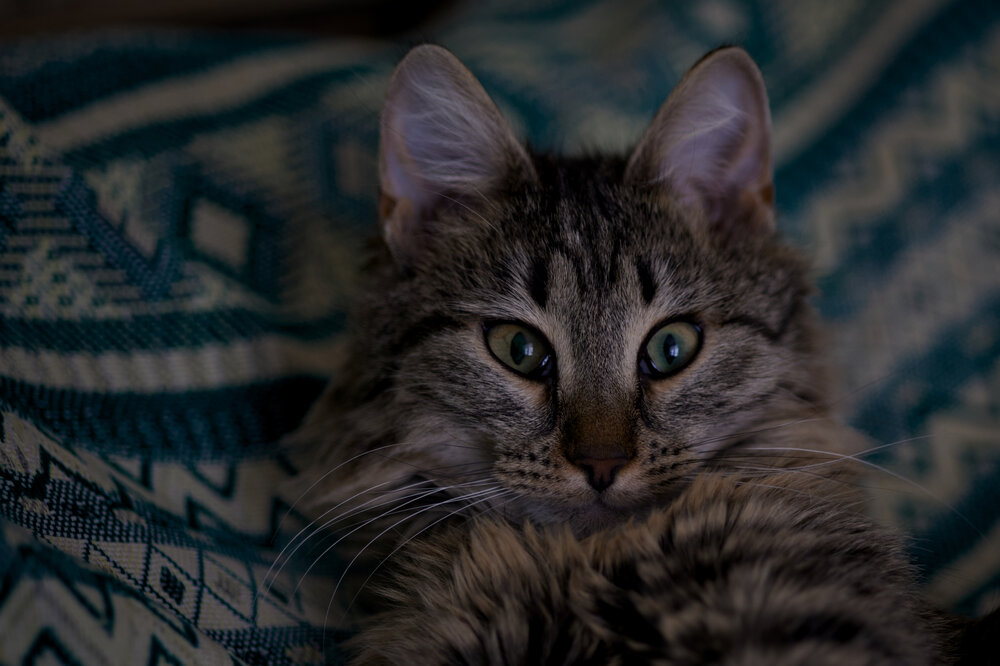 Photograph by Роман Соложенкин