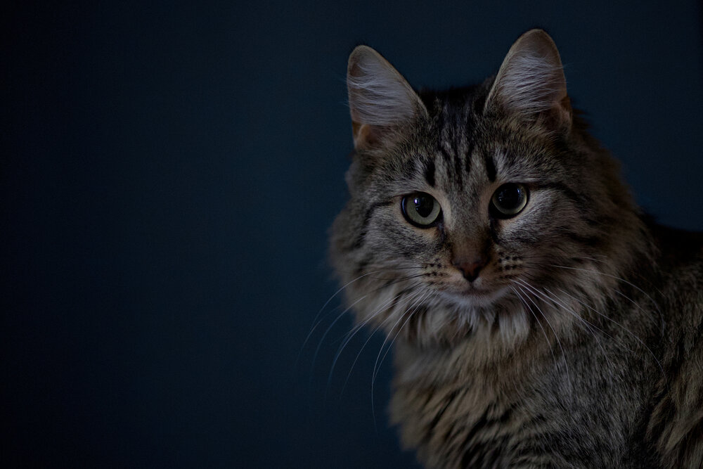 Photograph by Роман Соложенкин