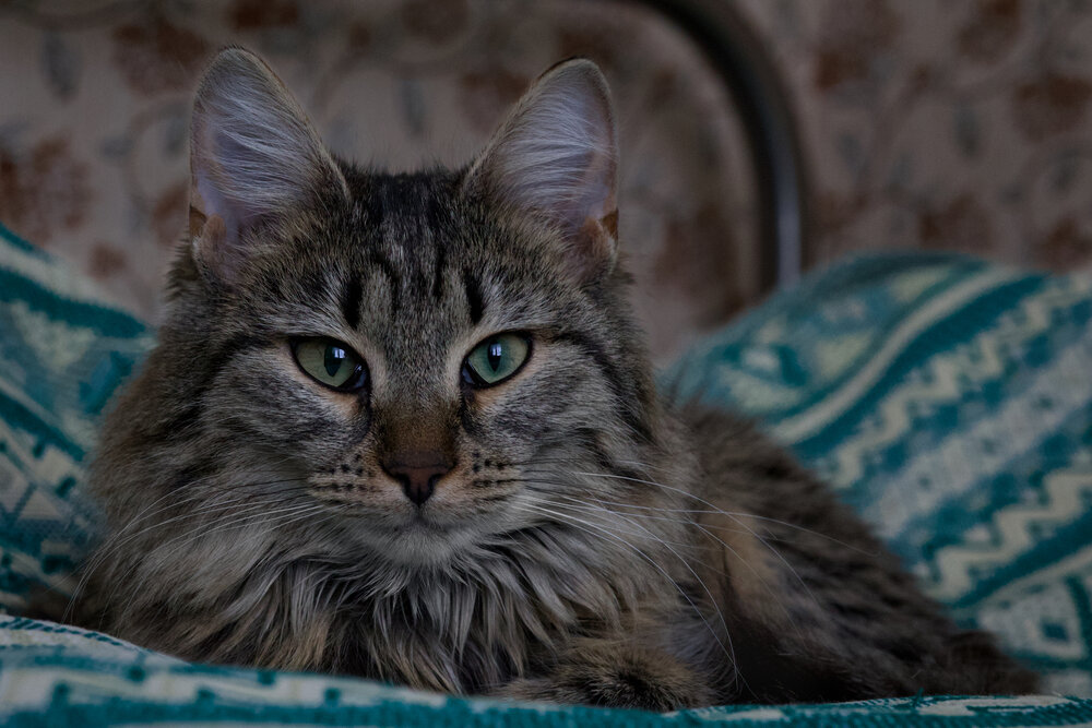 Photograph by Роман Соложенкин