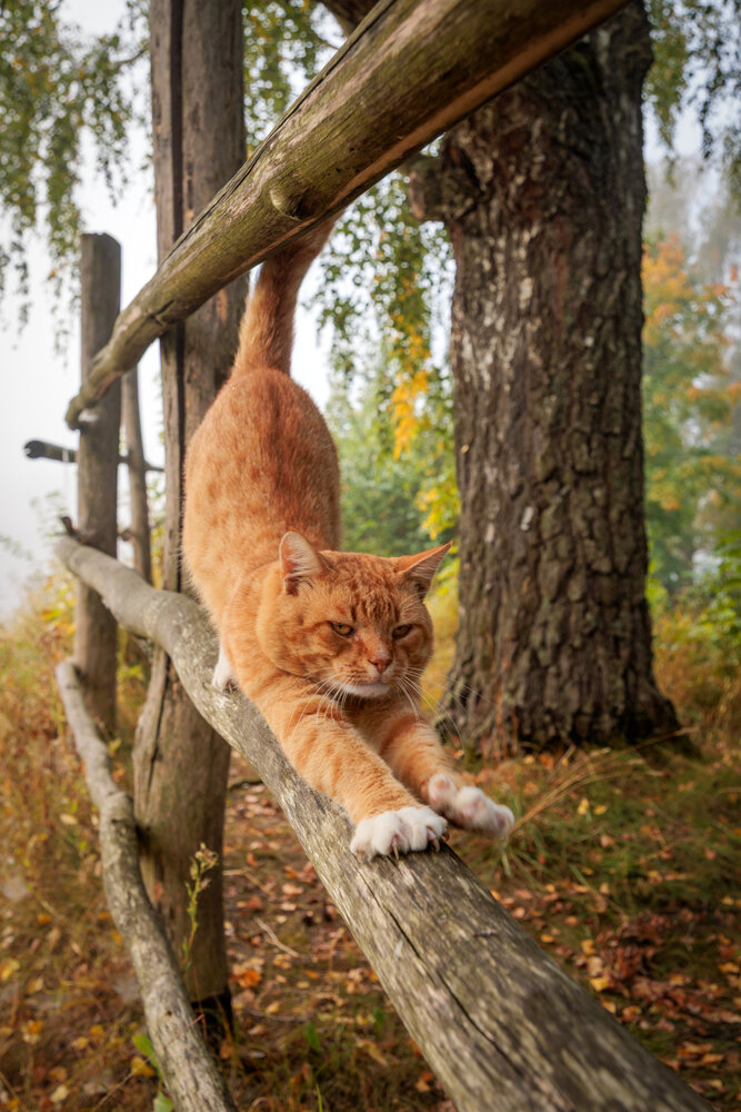 Photograph by Артём Парамонов