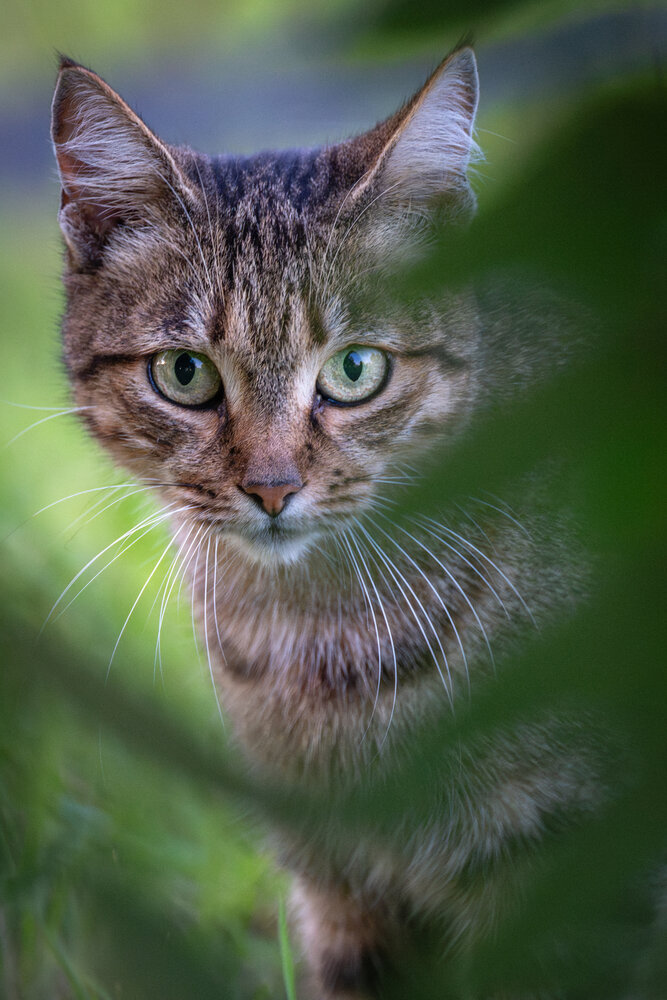Photograph by BESPAMIATNYI Dmitry