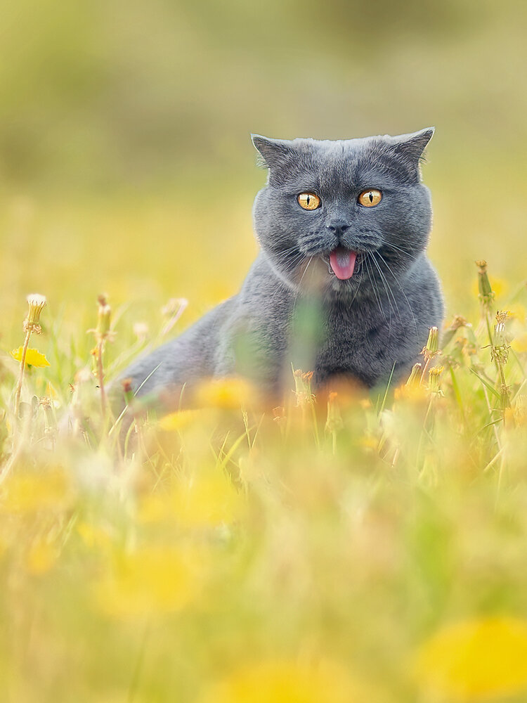 Photograph by Холудеев Виктор
