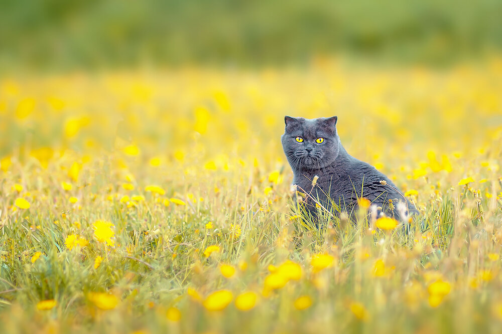 Photograph by Холудеев Виктор