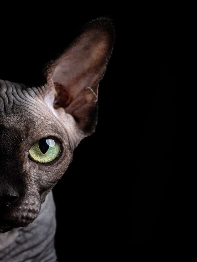 Photograph by Anastasia Sinkevich