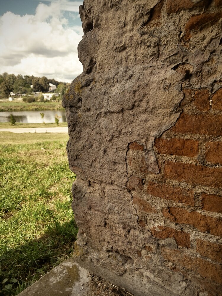 Photograph by Елена
