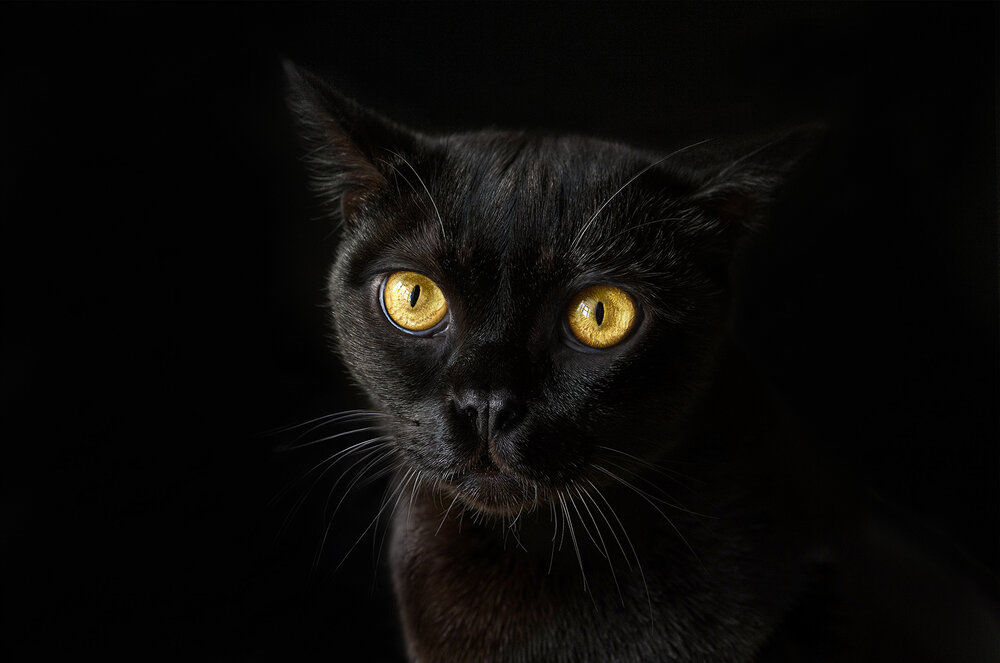 Photograph by Ольга Русина