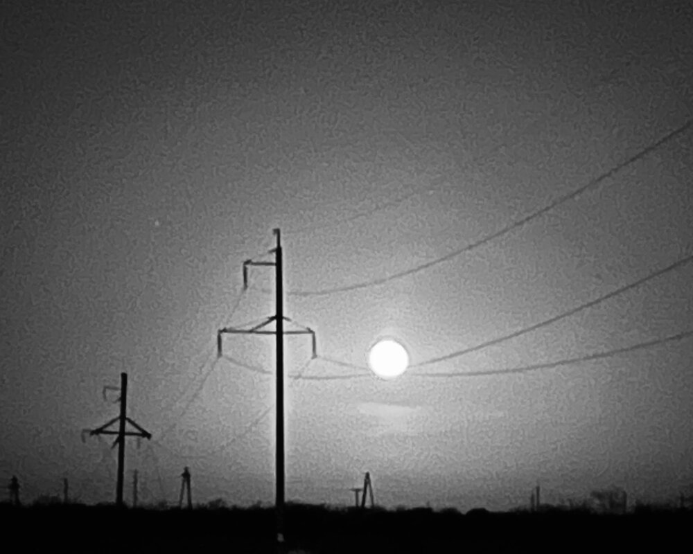 Фотография автора Ольга Белоусова