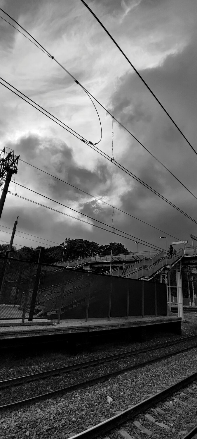 Photo #14031851