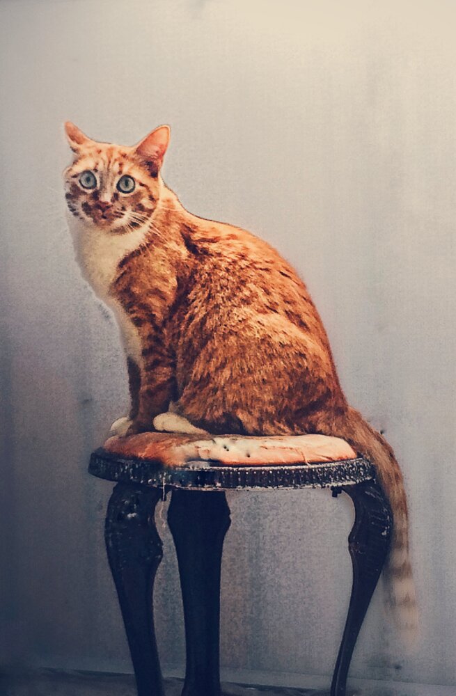 Photograph by Елена Эйнова