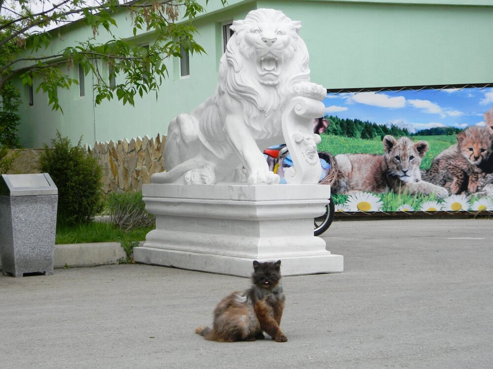 Photograph by света хлевненко