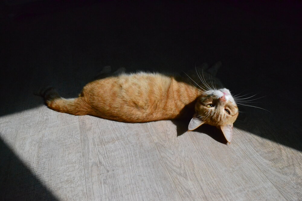 Photograph by София Галиева