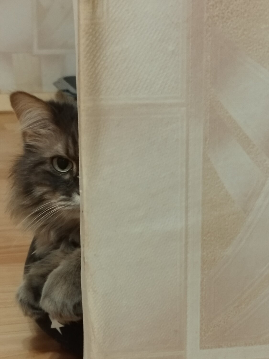 Photo #14031913