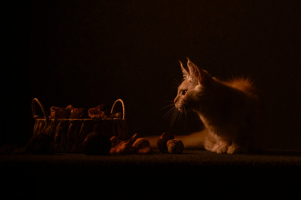 Photograph by Dina Damotseva