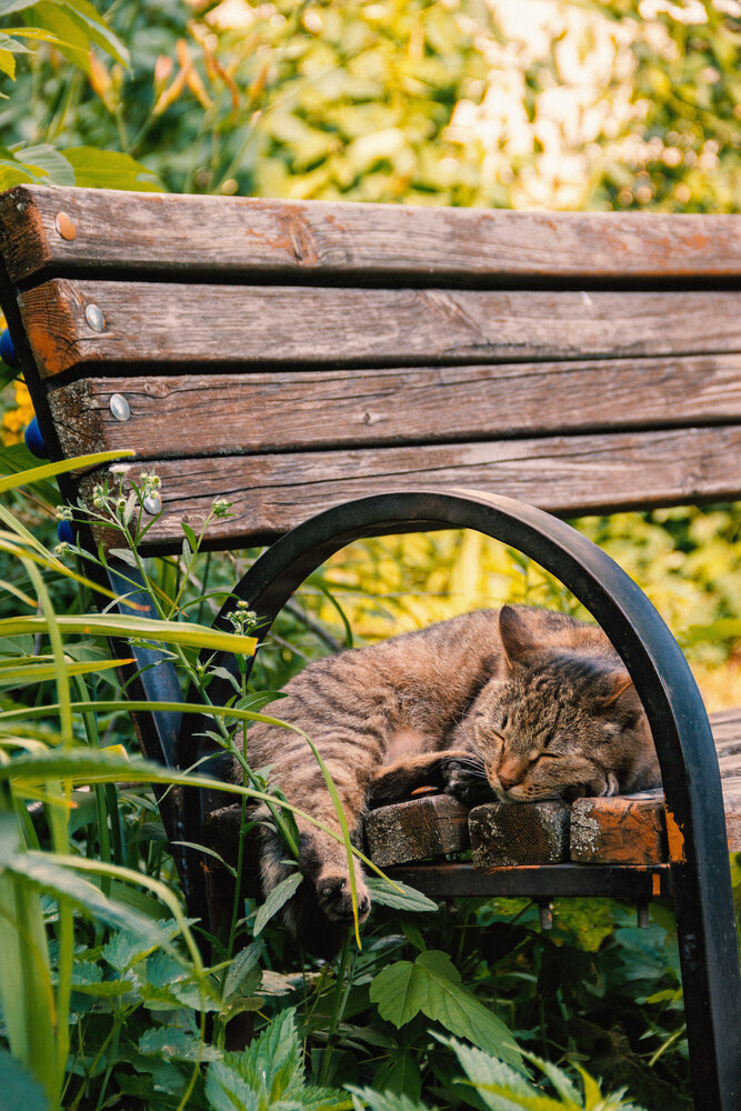 Photograph by Анна Любимова