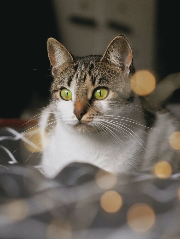 Photograph by Анна Любимова