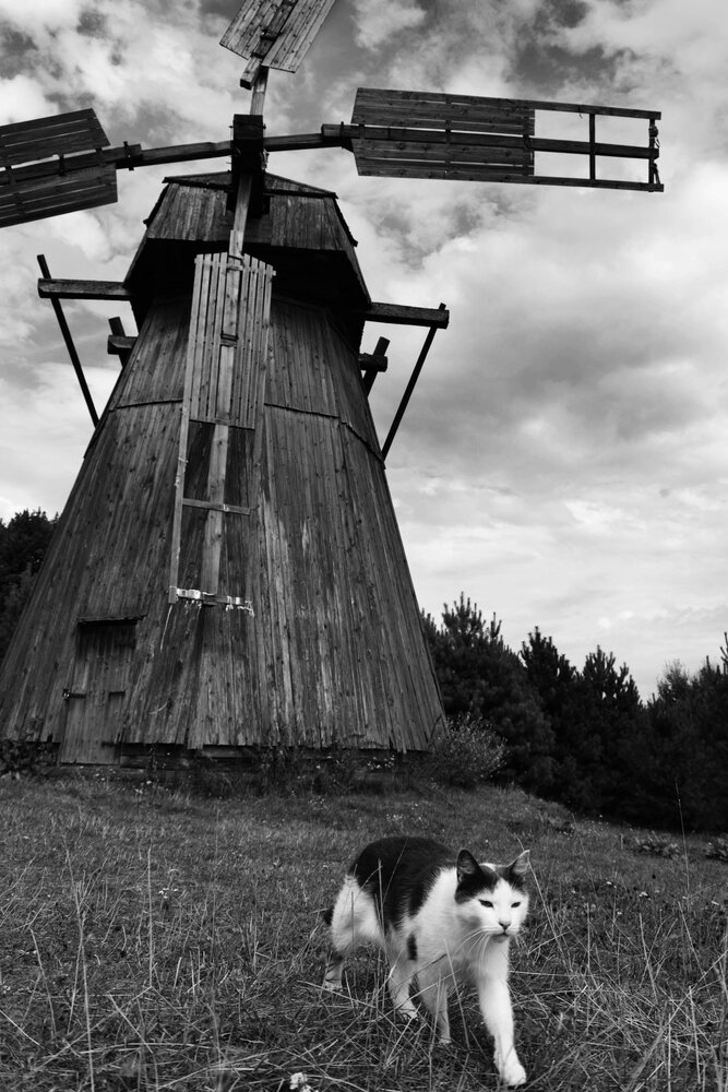 Фотография автора Марина Иванникова
