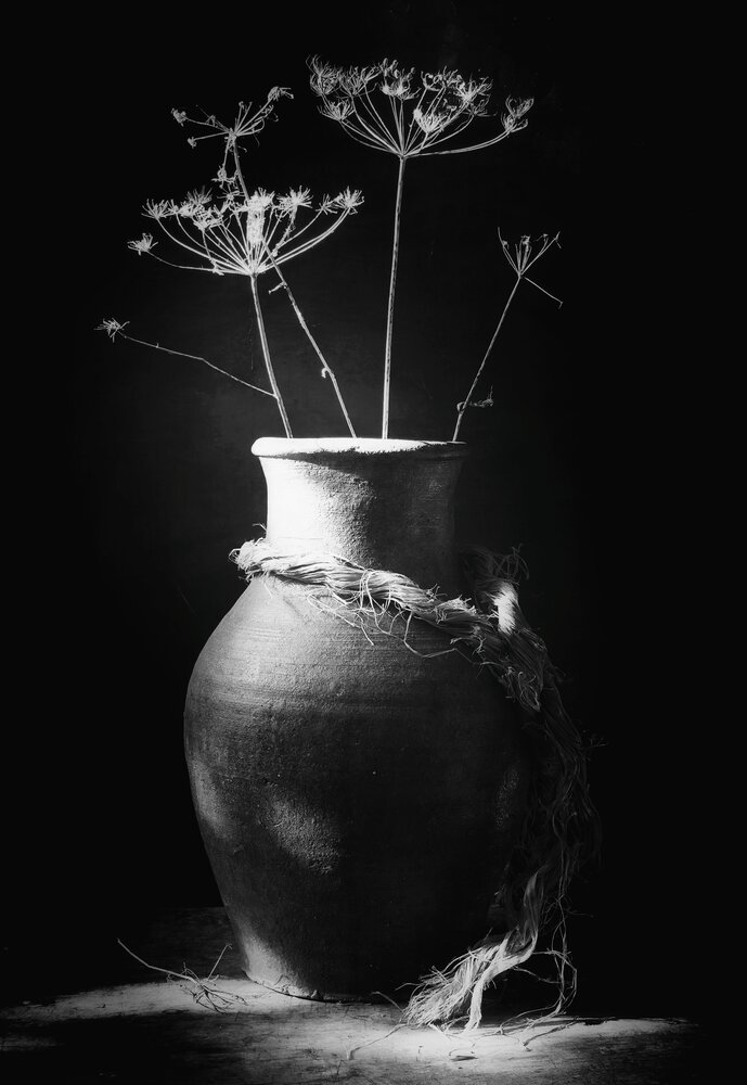 Photograph by Анна Якубинас