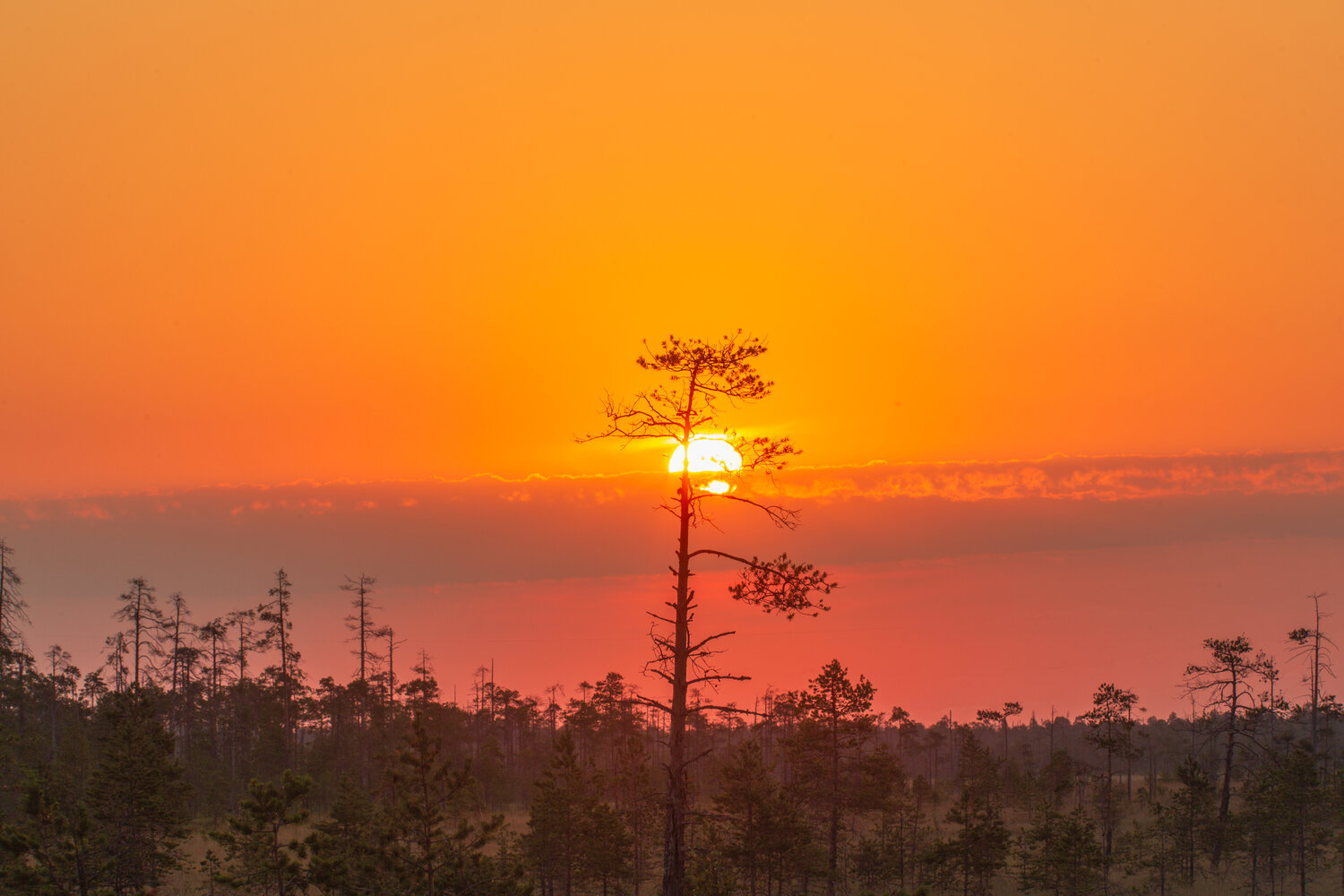 Photo #14032145
