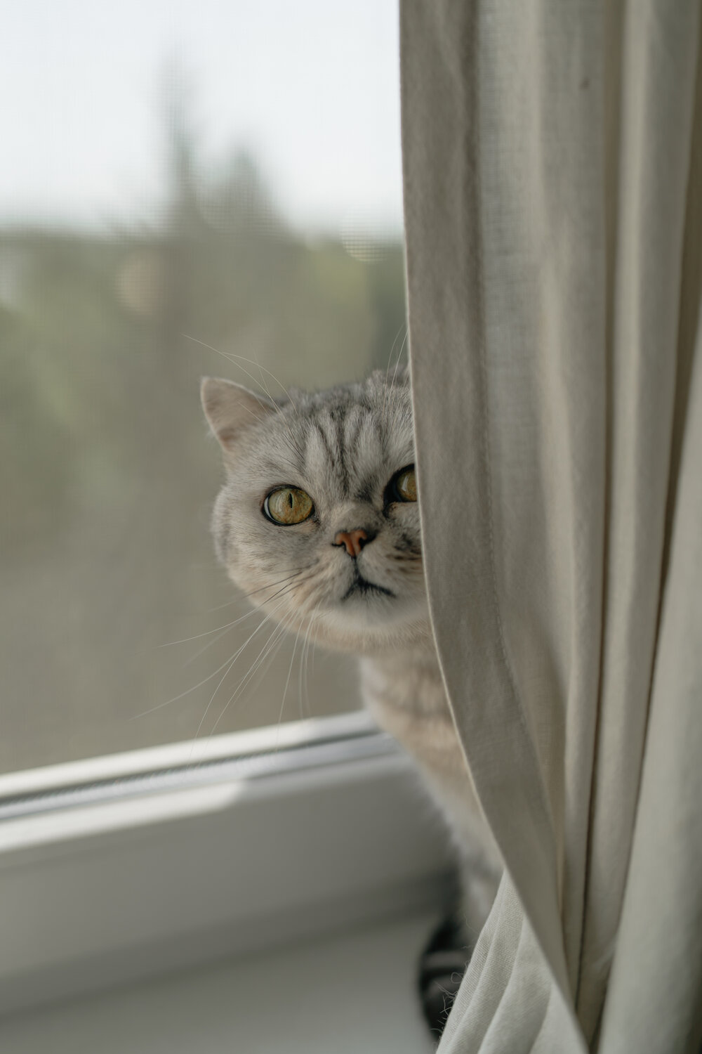 Photo #14032181