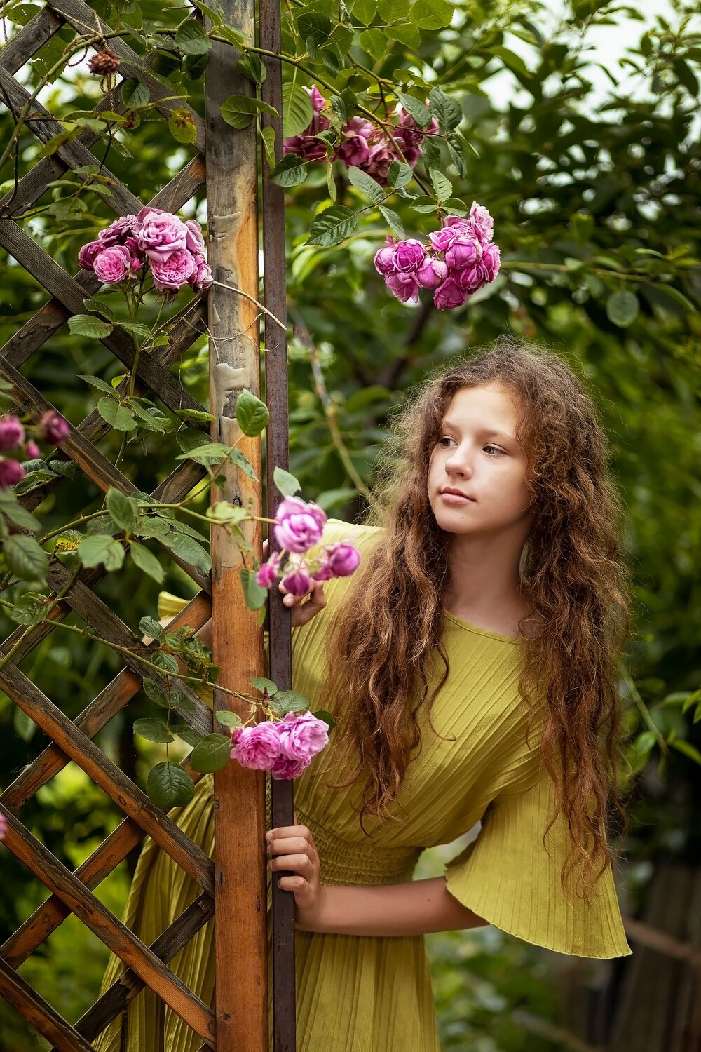 Photo #14032187