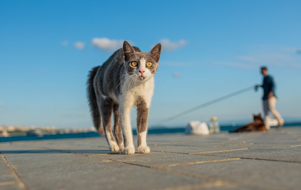 Photograph by Анна Васильева