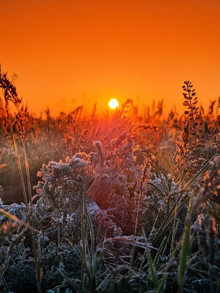 Photograph by Ангелина Шикина