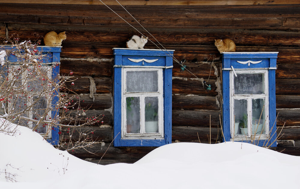 Photograph by Измаил Ефимов