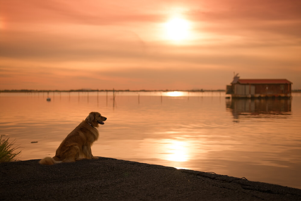 Photograph by Maja Esch