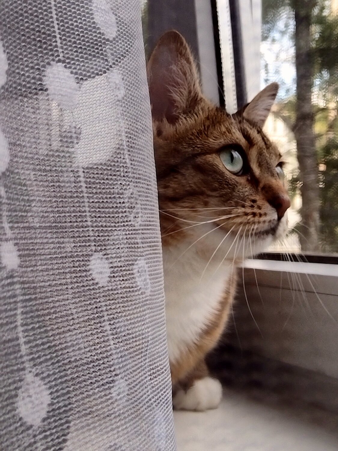 Photo #14032451