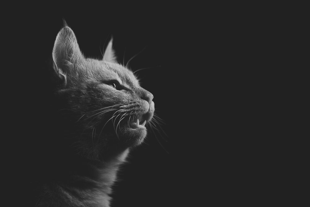 Photograph by Валерий Васильев