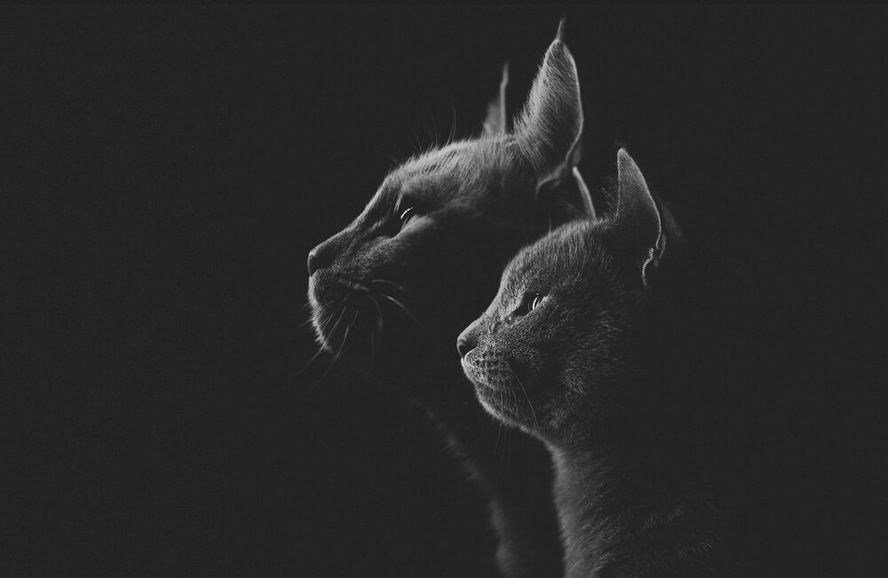 Photograph by Валерий Васильев