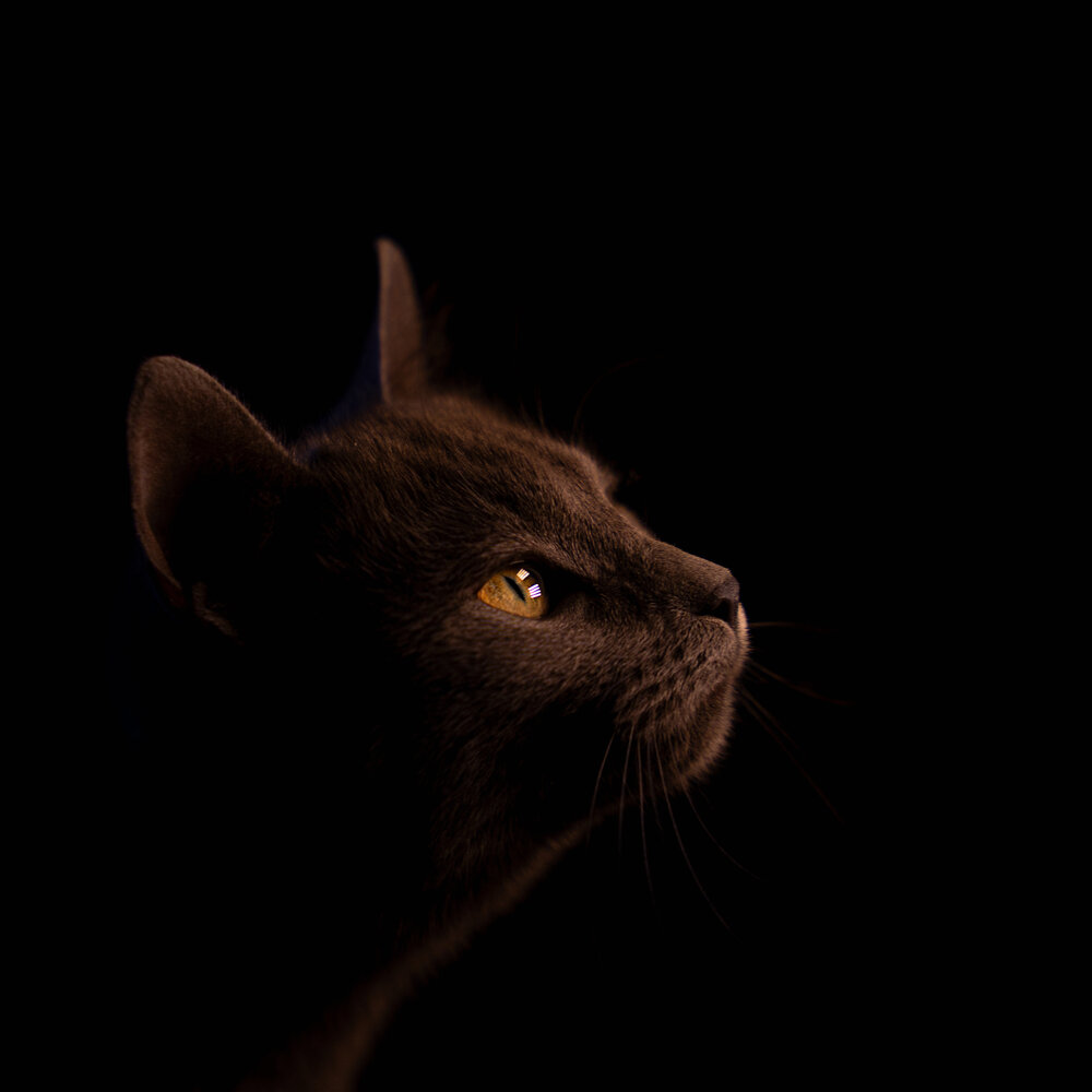 Photograph by Валерий Васильев