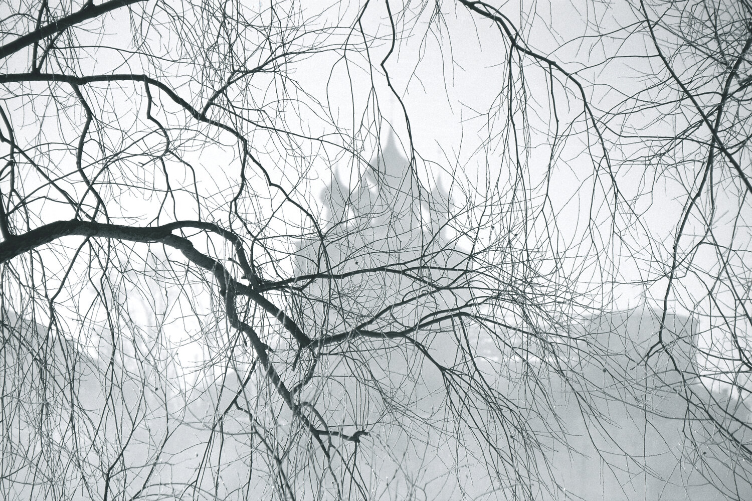 Photo #14032475