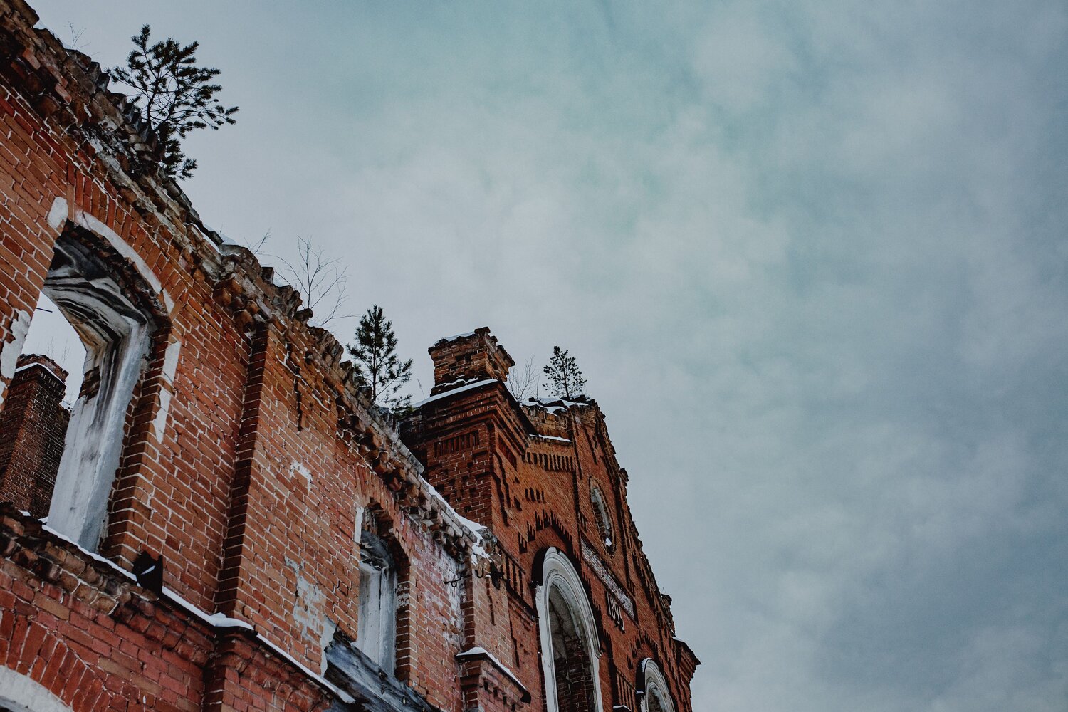 Photo #14032491