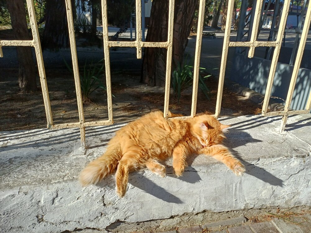 Photograph by Елена Казаренко