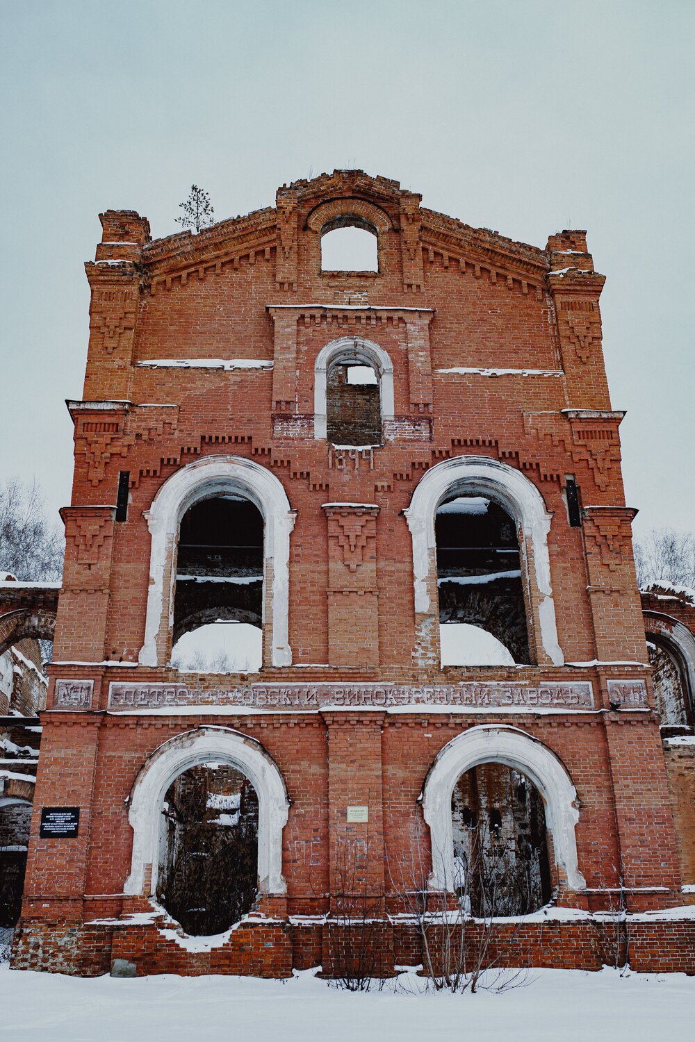 Photo #14032508