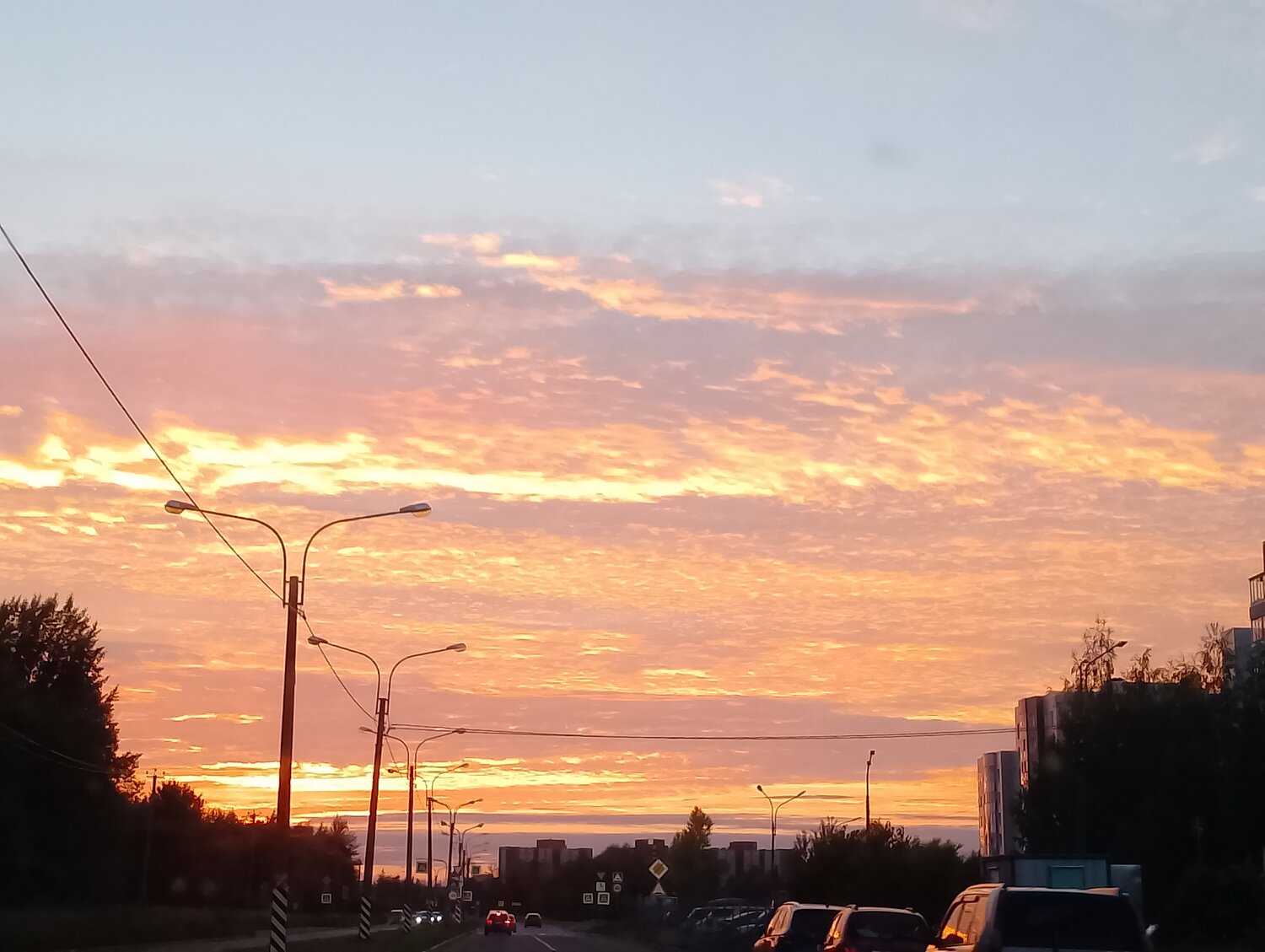 Photo #14032516