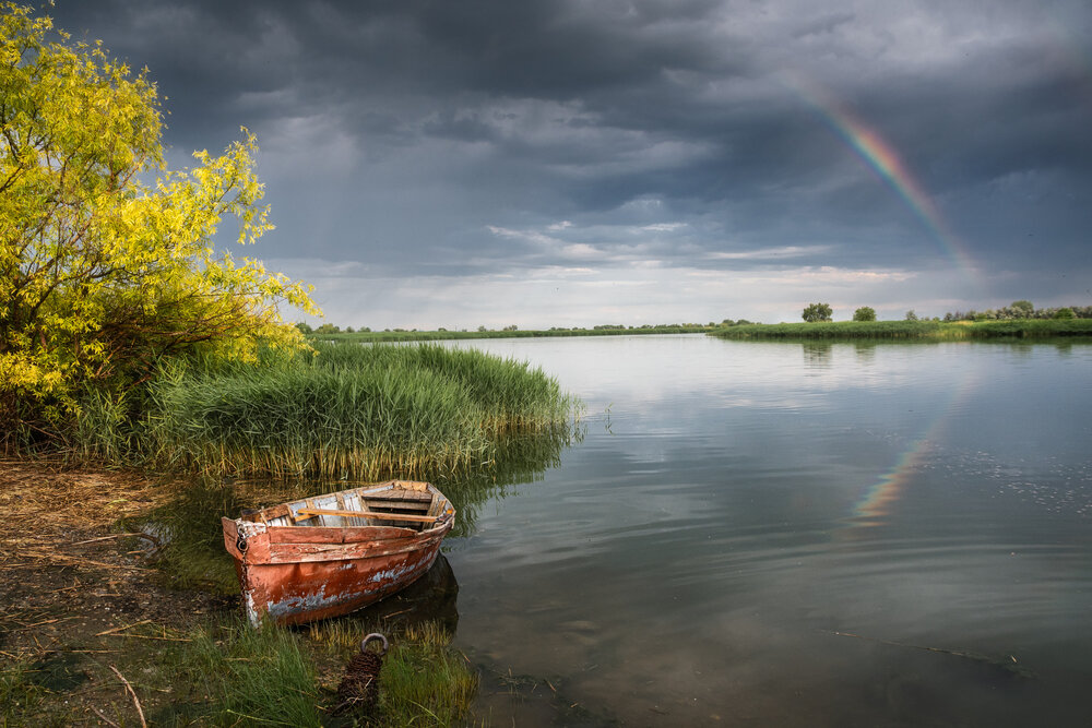 Photograph by Васильева Ирина