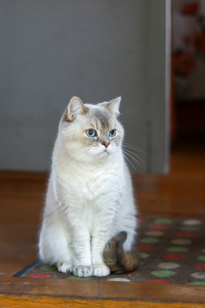 Photograph by Ирина Корабельникова