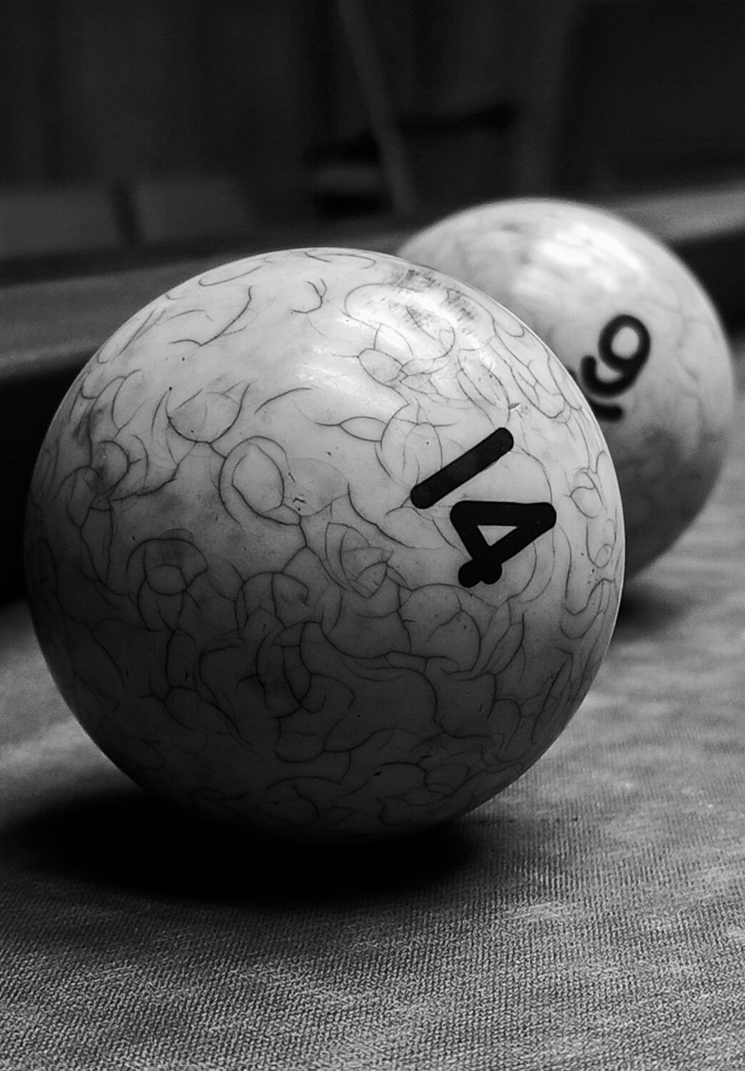 Photo #14032685