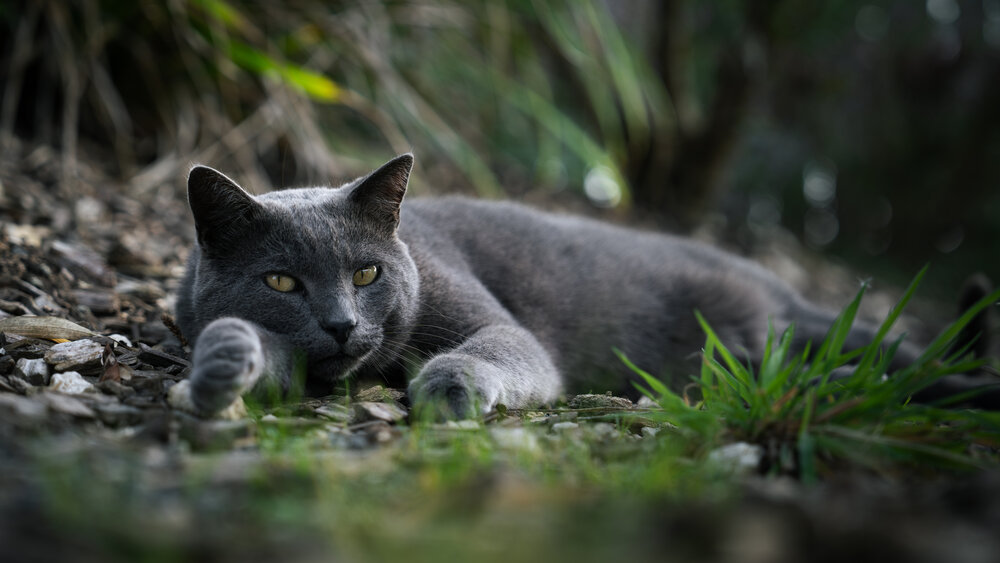 Photograph by Misha Bondarev