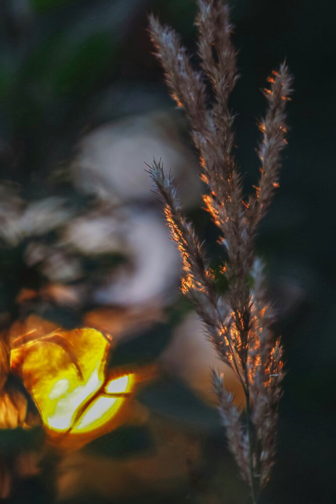 Photograph by Ирина Корабельникова